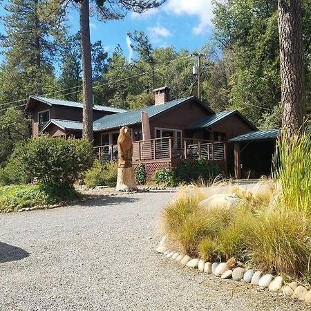 Uncle Grizz'S Cabin...Get Intouch With Nature Bass Lake Annex Exterior foto